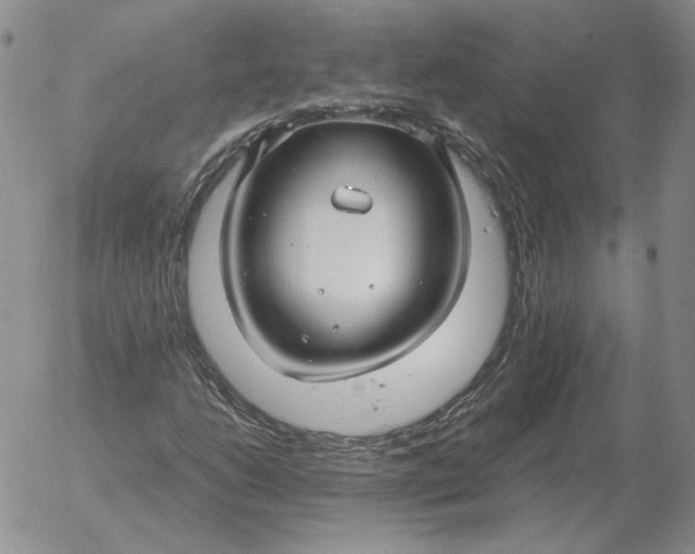 X0000053111206200508012116