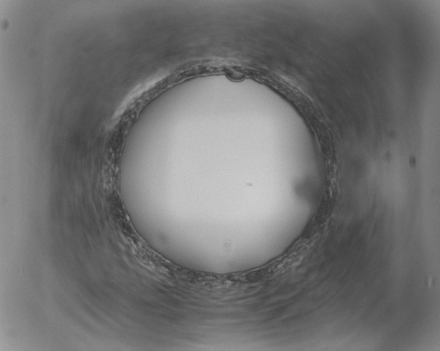 X0000053111207200508012116