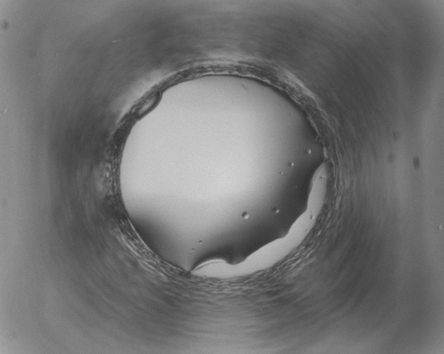 X0000053111208200508012116