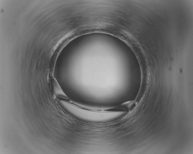 X0000053111210200508012116