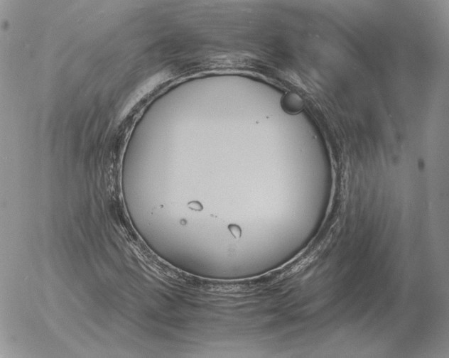 X0000053111211200508012116