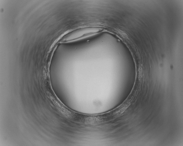 X0000053111212200508012116