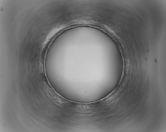 X0000053111215200508012116