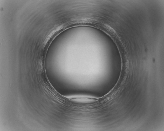 X0000053111218200508012116