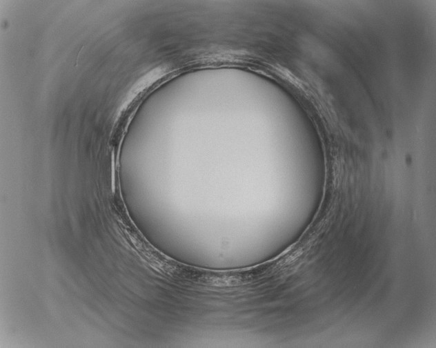 X0000053111219200508012116