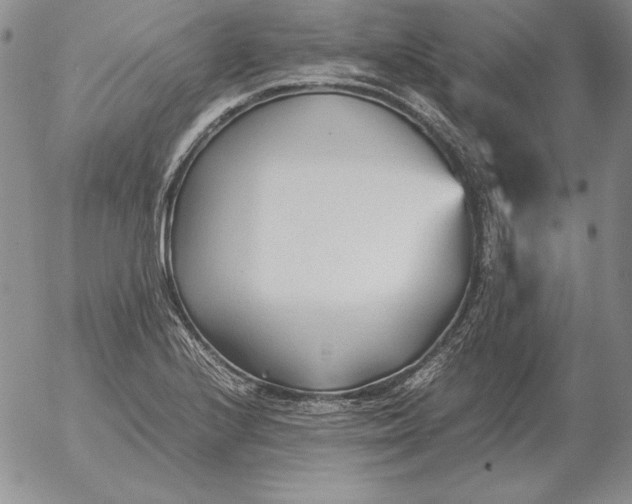 X0000053111224200508012116