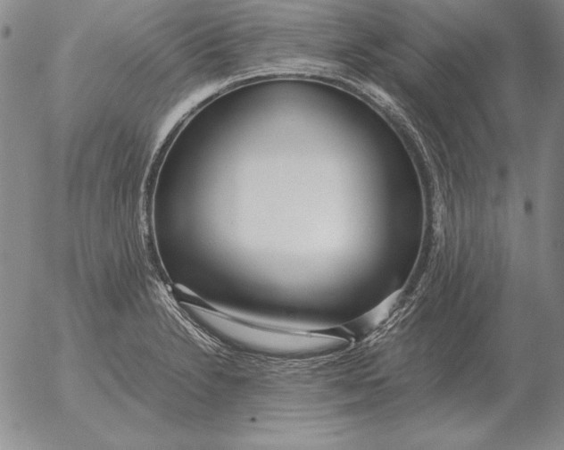 X0000053111230200508012116