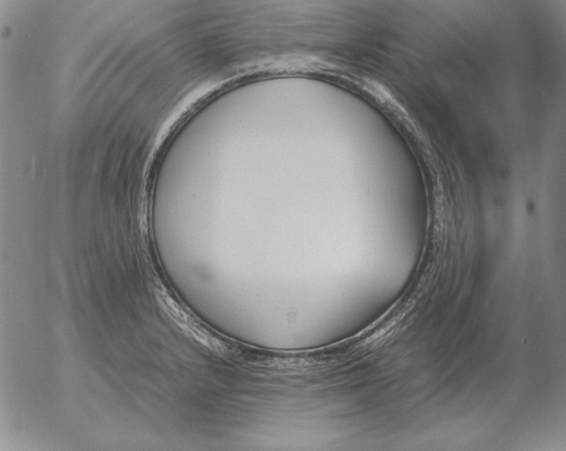 X0000053111232200508012116