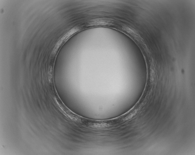 X0000053111233200508012116