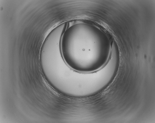 X0000053111234200508012116