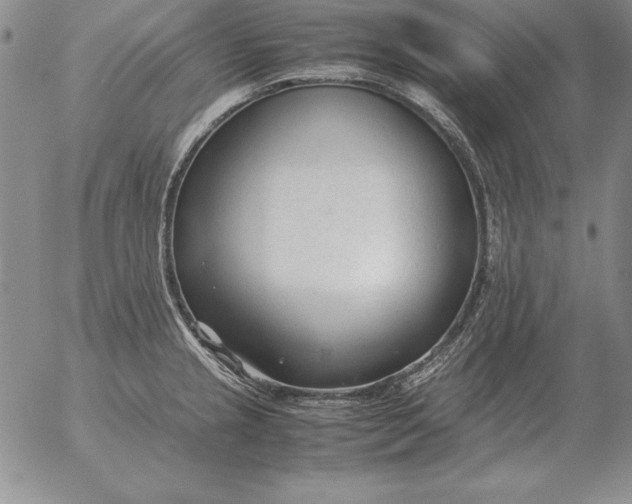 X0000053111237200508012116