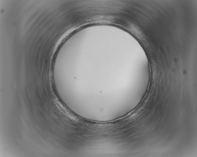 X0000053111240200508012116