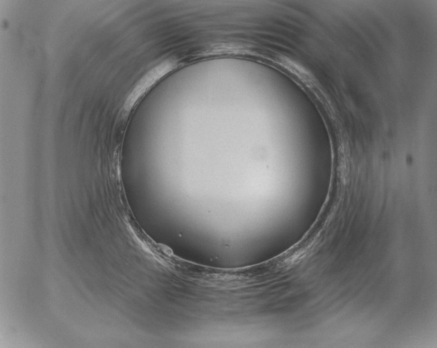 X0000053111241200508012116