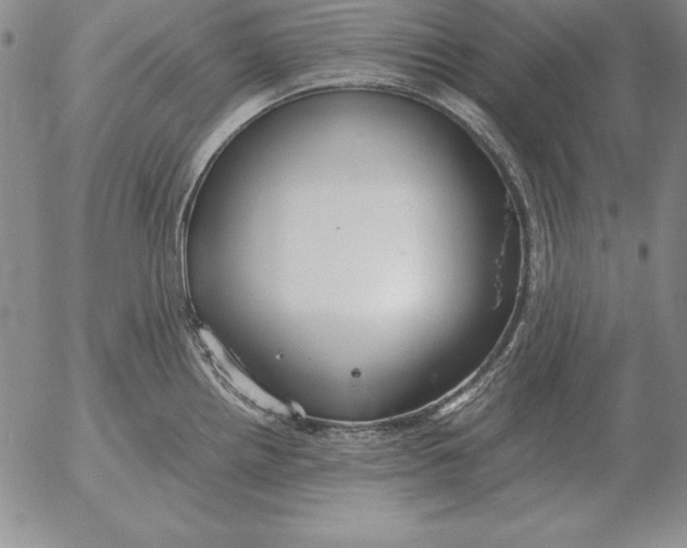 X0000053111242200508012116