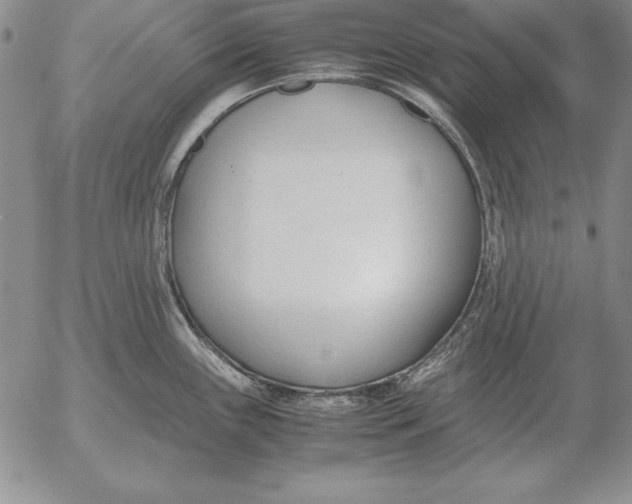 X0000053111243200508012116