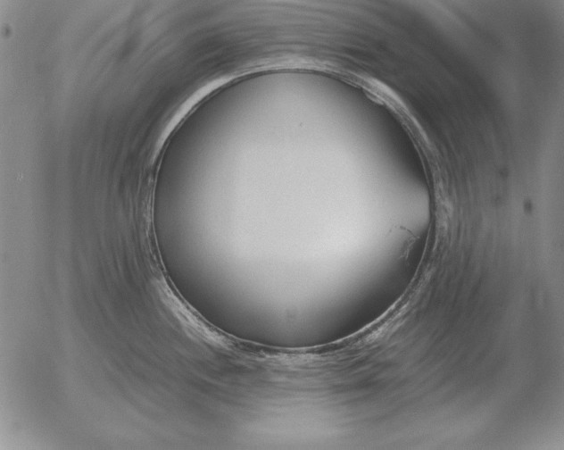 X0000053111244200508012116