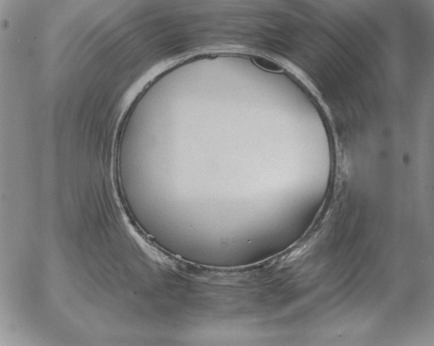 X0000053111245200508012116