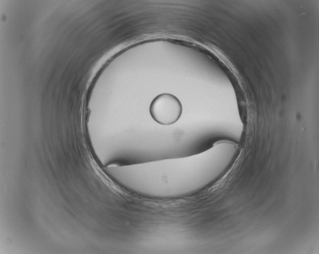 X0000053111246200508012116