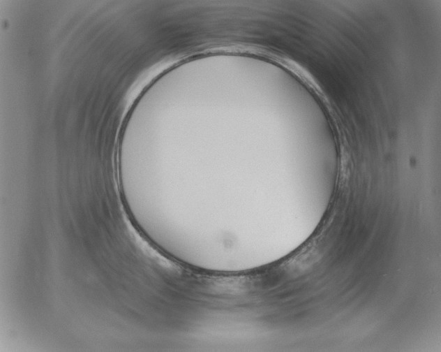 X0000053111247200508012116