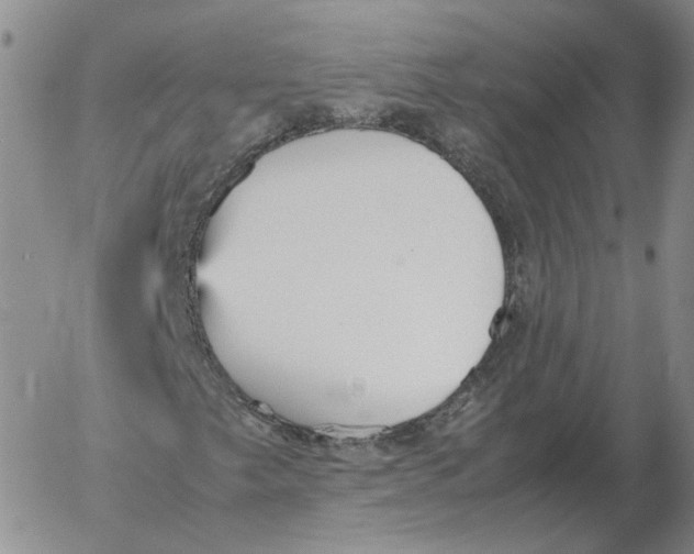 X0000053111249200508012115