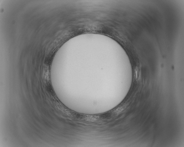 X0000053111251200508012115