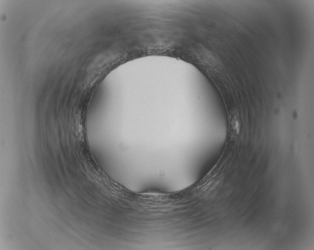 X0000053111252200508012115