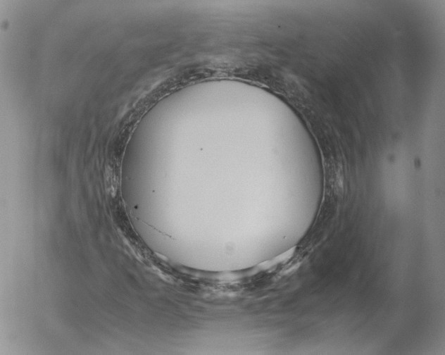 X0000053111253200508012115