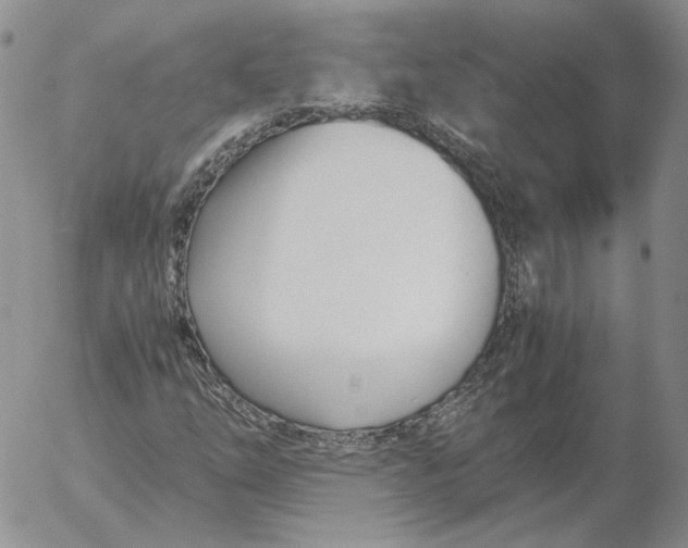 X0000053111254200508012115