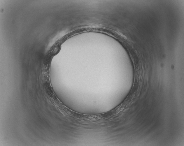 X0000053111255200508012115