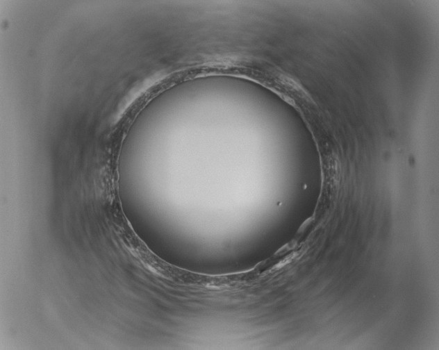 X0000053111256200508012115