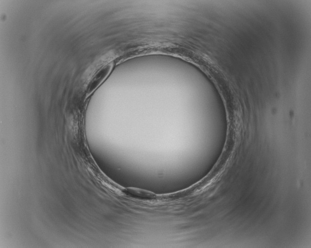 X0000053111257200508012115