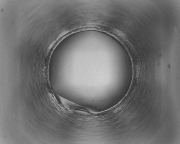 X0000053111260200508012115