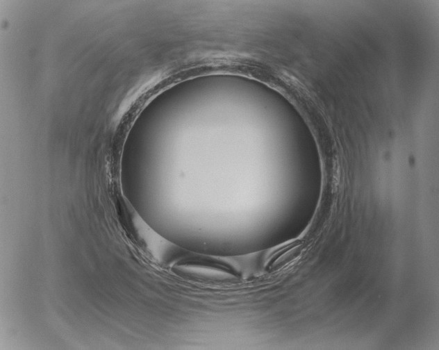 X0000053111261200508012115