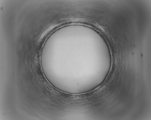 X0000053111263200508012115