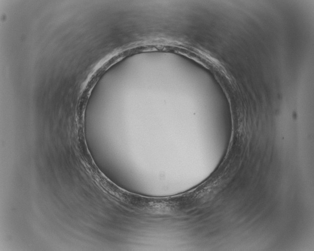 X0000053111264200508012115