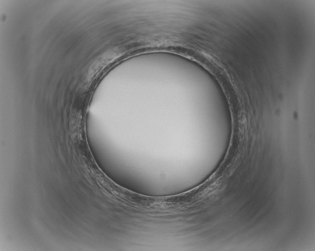 X0000053111265200508012115