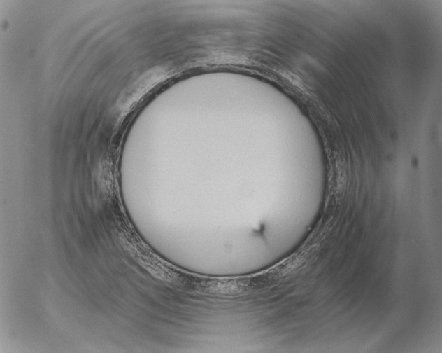 X0000053111266200508012115