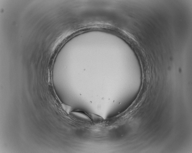 X0000053111267200508012115