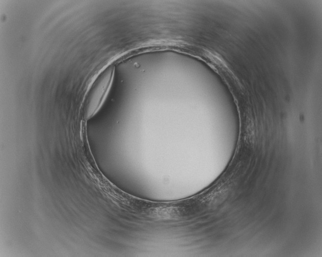 X0000053111268200508012115