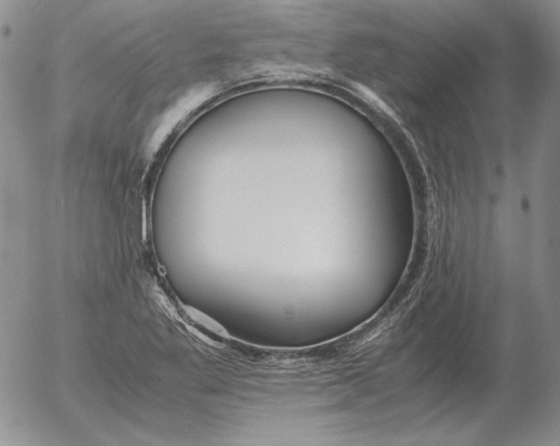 X0000053111269200508012115