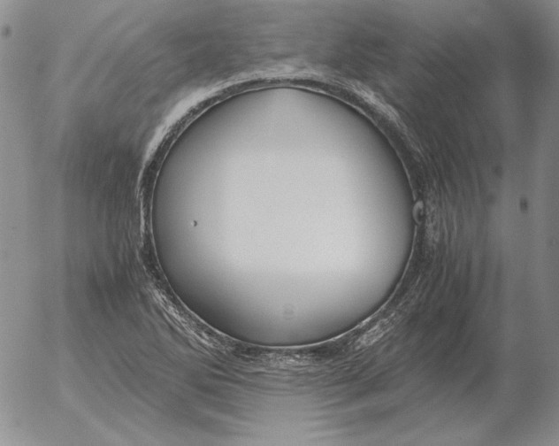 X0000053111270200508012115