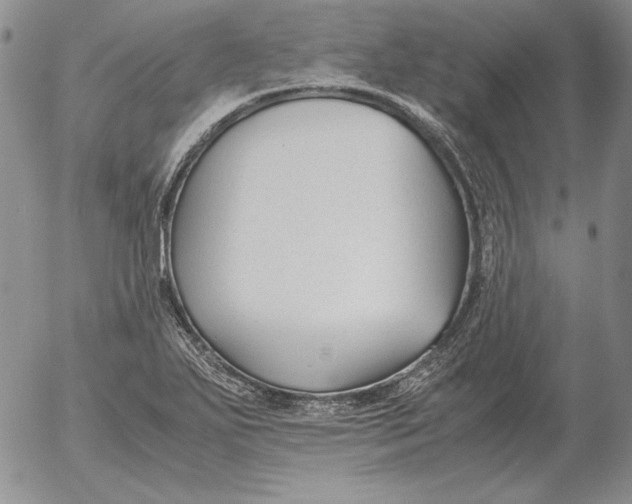 X0000053111271200508012115