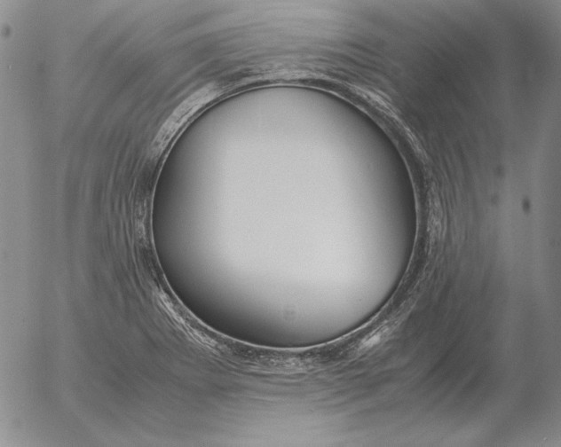 X0000053111273200508012115