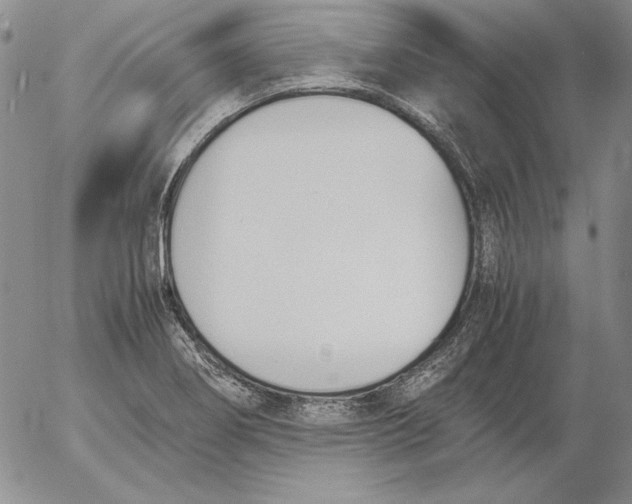 X0000053111274200508012115