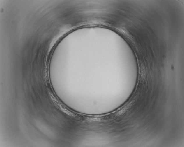 X0000053111278200508012115