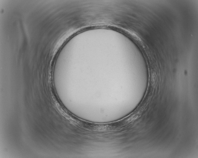 X0000053111279200508012115