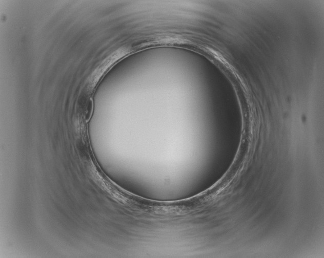 X0000053111281200508012115