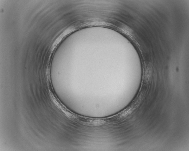 X0000053111282200508012115