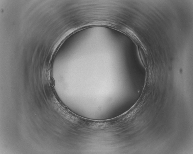 X0000053111284200508012115