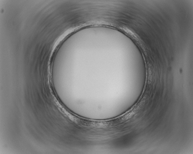 X0000053111286200508012115